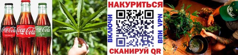 где найти   Инсар  Еда ТГК марихуана 