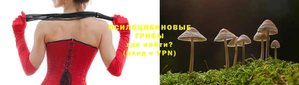 твердый Вязьма