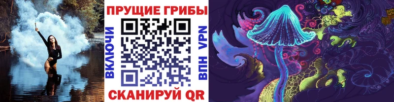 цена   Инсар  Псилоцибиновые грибы Cubensis 